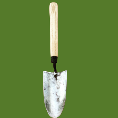 Metal trowel with a wooden handle against a green background.